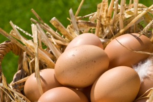 Eggs in a straw basket