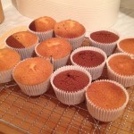 Muffin cakes